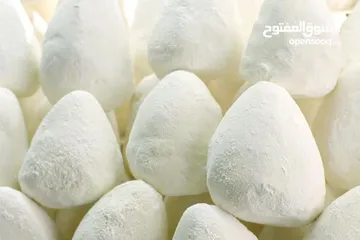  25 عروض بمناسبه عيد الاضحى العرض الاول والأقوى على مستوى المملكة فقط من جميد الربيع
