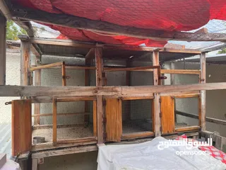  8 Big Hand Made cage for birds