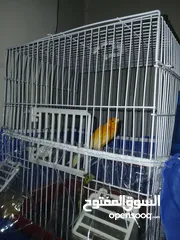 10 مطاير للبيع