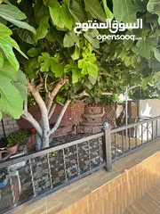  4 بيت مستقل للايجار