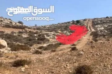  2 ارض مميزة كوشان طابو الف