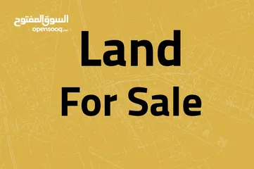  1 أرض سكني للبيع في ابو نصير