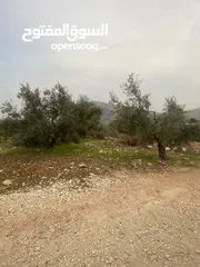  2 ارض للبيع نابلس_طلوزه