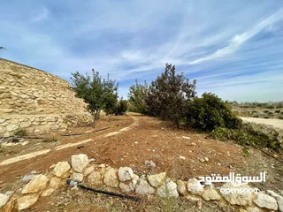  13 أرض مميزة في منطقة النعير 3000 متر