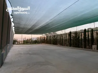  16 شالية الكرم