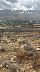  1 ارض مميزه للبيع في منطقة النصاريه  تصلح لبناء شليه سباحي