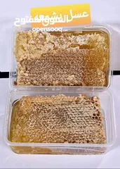  7 عسل طبيعي 100% سدر حمضي جبلي  ومضمون وشمع بالعسل وغداء الملكات