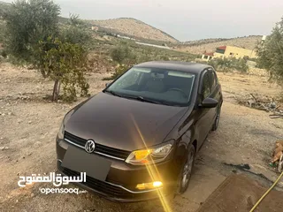  7 بولو جير عادي الحبة النادرة باللون و الجمال و الفحص