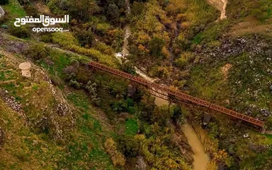  5 ارض للبيع في الحمه الاردنيه مزروع جوافه وكل انواع الحمضيات بثلاثه قواشين مستقلات ومتلاصقات لمالك واح