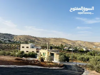  4 بسم الله الرحمن الرحيم ارض للبيع في بيرين حوض القصبات مساحه 543م2 جميع الخدمات على شارعين مزروعه