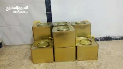  4 جبنة نعاج بلدية