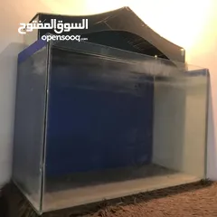  2 حوض سمك البيع
