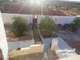  6 بيت مفروش للاجار اليومي او الاسبوعي او الشهري
