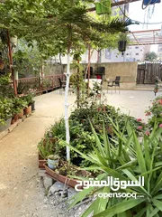  5 بنايه كامله اربع طوابق للبيع كامله بسعر مغري خلف الكارفور في اجمل مناطق مادبا