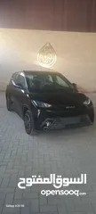  15 405 k  BYD SEAGULL FLYING 2024