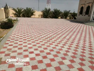  9 حجر عماني طبيعي..