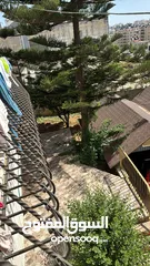  6 بيت مستقل مكون من طابقين وروف