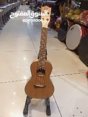  1 يوكليلي احترافي