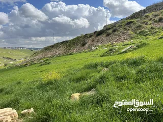  3 الفزره 525 م سكن ج