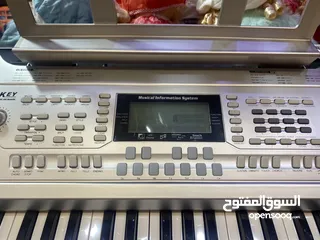  4 اورغ غربي شرقي