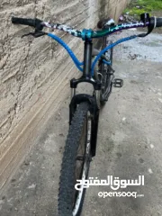  3 بسكليت نمره 24