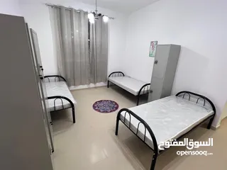  5 سكن مشترك للشباب  في عجمان مقابل جراند مول