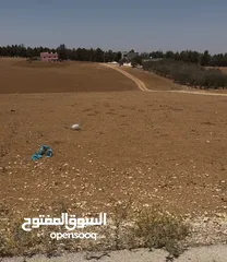  11 قطعة ارض زراعي وتصلح سكني داخل التنظيم قوشان مستقل مساحه 7557 متر مربع في مأدبا (ذيبان) واجهة 32 متر