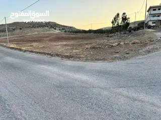  3 ارض للبيع مساحه 6 دونم و 400 متر النعيمه مستصلحه واصل كهرباء على شارع معبد 10 متر وقريبه من الخدمات