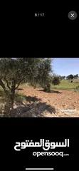  10 ارض للبيع في منطقه السليحي