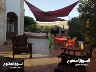  10 شاليه للايجار اليومي موبص