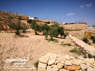  5 قطعة ارض مميزة في صوريف ابوشوك واصل كهرباء +زفتة (يمكن التبديل على شقة في مدينة الخليل)