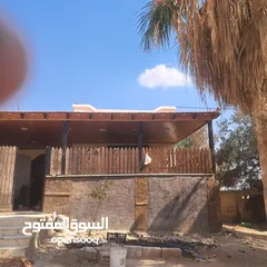  9 قرميد للبيع كامل مع الحديد والباب