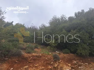  2 ارض سكنية للبيع  بالقرب من  دابوق بمساحة 2000 م