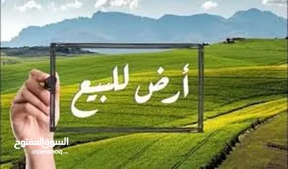  1 قطعة ارض قرب جامع البرقاوي مستوية لا تحتاج الى جرف