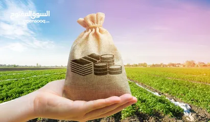  8 ارض سكنية في اسكان الكهرباء للبيع