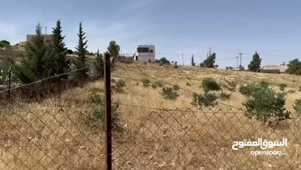  10 ارض 3400م2 للبيع في صروت حوض المرح الأصفر إطلالة مميزة حولها مزارع