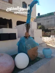  5 قواوير فايبر اسمنت قوية وجميلة جدا