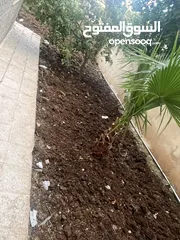  6 شقة للبيع بالقرب من مسجد حسين خواجا