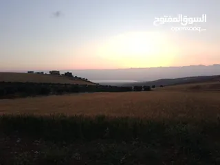  12 مادبا ماعين المشرفة قطعة ارض زراعية مميزة واصل الخدمات ذات اطلالة على البحر الميت واصل الخدمات