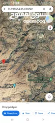  1 للبيع  ارض عمان الغربيه  استثمار  بلال حوض حمره الزيود مساحه 10021 متر