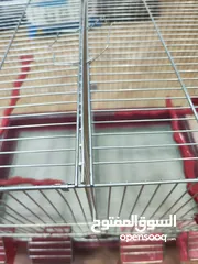  3 قفص طيور اربع معالف مع قاطع ، مميز جدا و مع جرار للتنظيف مستورد مش محلي
