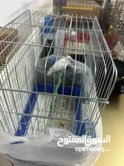  6 طيور كنار انواع جميله