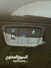  14 توسان هايبرد الحبه المميزه فل الفل إضافات N LIEN