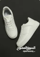  11 البيع بالجملة فقط