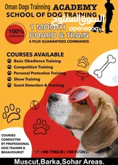  1 خدمات تدريب وبيع الكلاب Dogs training and sale services