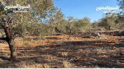  3 تملّك أرض مميزة
