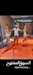  2 لحام متنقل لذبح الاضاحي بلمنازل ملاحظه الرقم شغال بلوصف