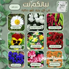  5 بذور زراعية زهور للحدائق و البساتين