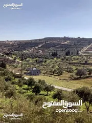  15 لقطه مزرعه مع بيت ريفي 48 الف قابل للتفاوض منطقه ريف جرش