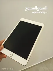  1 ipad mini 4